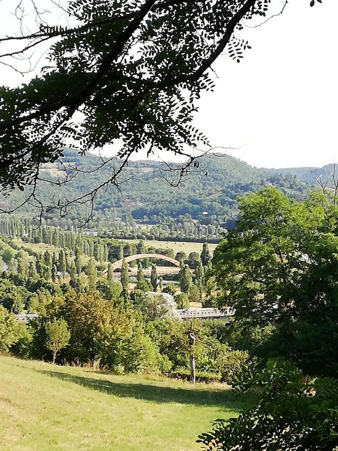ברברינו די מוג'לו Il Lago Del Mugello B&B מראה חיצוני תמונה