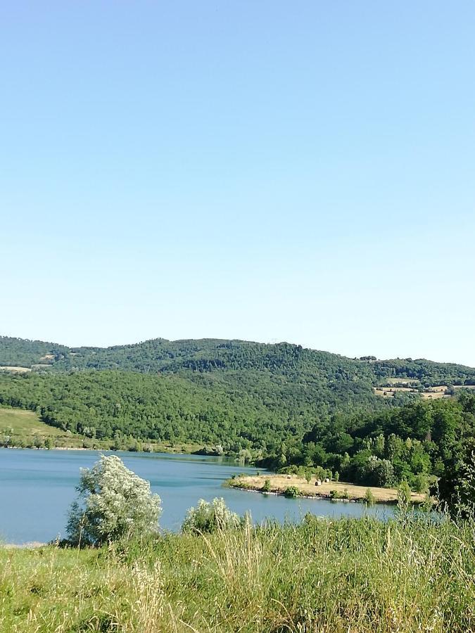 ברברינו די מוג'לו Il Lago Del Mugello B&B מראה חיצוני תמונה
